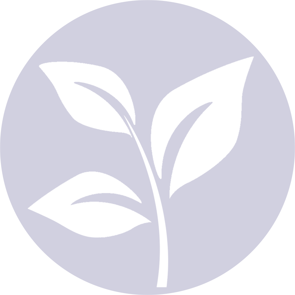 Work Icon